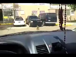 free молодые во время секса hd