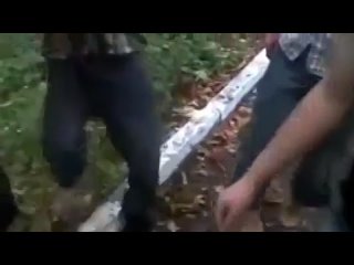 free молодые в городе новомосковск тульская область 27 08 2012 hd