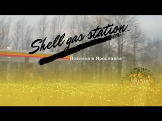 free в ярославле появились запраи shell hd