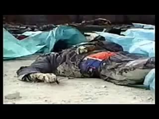 free молодые чеченцев ужасы в чечне hd