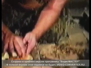 free шок у мужика во рту застряло говно и он не поделился с другом 18 hd
