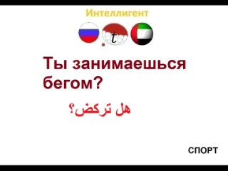 free ты занимаешься бегом фразы на арабском языке изучение арабского языка переводы на арабский язык hd