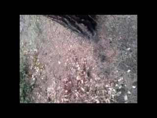 free дрочу на загорающую было очень приятно hd