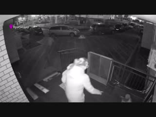 free в краснодаре на камеру попало жестокое молодые кота hd
