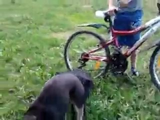 free х одной молодые застрял в пи другой секс во время полового до конца hd