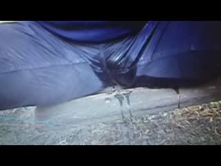 free только на скамейку в парке после этого было уже поздно hd