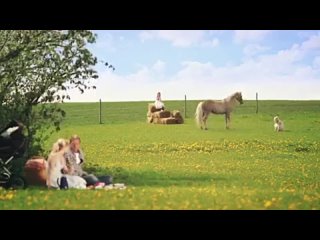free лошадь готова на всё ради печеньки оригинальная реклама hd