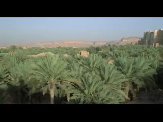 free из хф цветок тысяча и одной ночи il fiore delle mille e una notte про ослика очень секретный отрывок hd