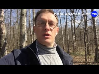 free почему горят святыни удивительные совпадения пожара собора парижской богоматери познавательное тв hd