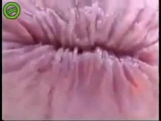 free медуза и кока колалучшие видео у меня на странице hd