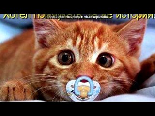 free яяяяяя под музыку внимание новинка лета 2013 imperia feat нюша натали бьянка серебро и иван дорн ани лорак макс корж hd
