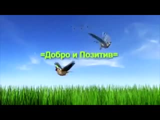 free сука ты конченая козлина ты ёбаная блять дибил ты ёбаный блять ты гандон блять п hd