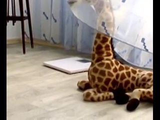 free артхаус художественное кино секс анимэ порно эмо порно смешно лох ужас страшная бабуля хочет убить свою внучку hd