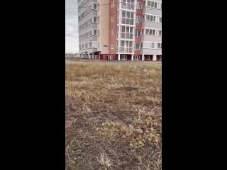 free в омске девушка в одних трусах разгуливала по подъезду жилого дома и по улице hd