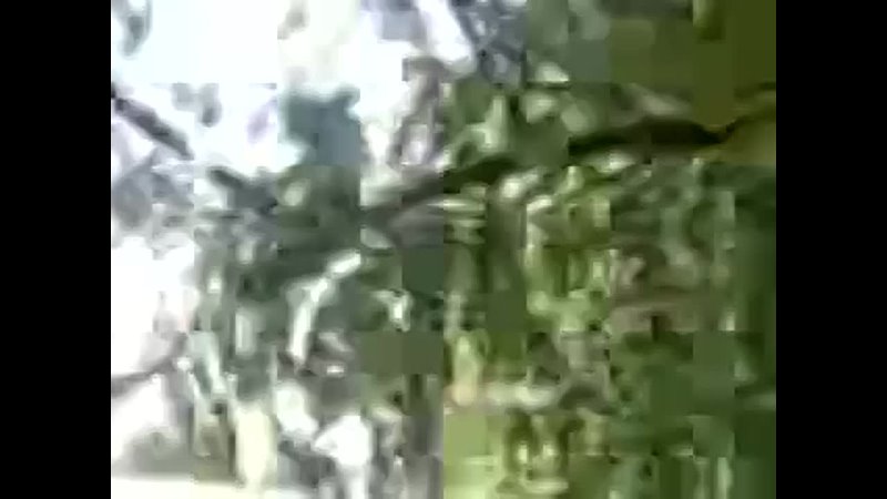 free кабардино балкария деу ебут в поле порно снятое на камеру мобильного телефона hd
