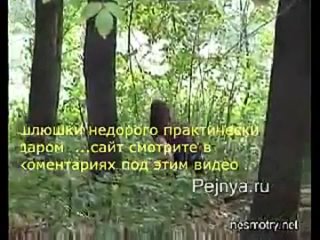 free начальник трахает секретаршу в офисе развратные сучки кастинг xxx woodman wtfpass ретро порно 3d hentai nubile films hd