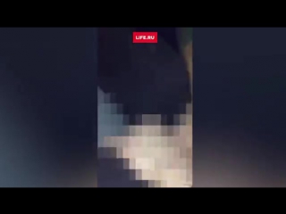 free девушка занялась оральным сексом на глазах у пассажиров в самолете hd