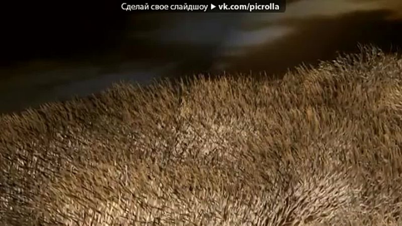 free малчик под музыку песни под гитару его мама молодые очень грустная песнятакая же ситуация как и у меня было 18года hd