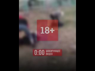 free давай не жалей его на урале компания молодые жестоко избила двоих школьников и сняла всё на видео hd