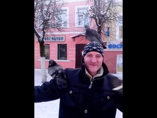 free илюша и леня кормят голубей леня кормит илюша снимает hd