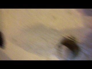 free я похуист я я я хуй типу оторвало прямо на проспекте hd