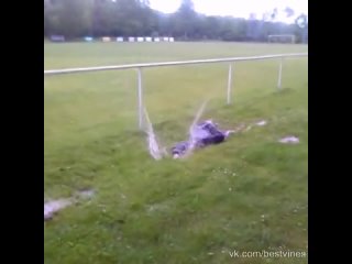 free dat laughв название любого видео что розмещаешь в группе вставляй ягуар водка пиво вино сигареты табак мартини коньяк hd