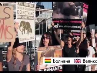 free цирк иллюзия любви мышление мотивация спорт фитнес как похудеть жирные толстые ахаха лол качёк борец секс еда hd