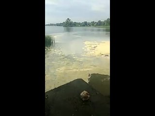 free вот такие каждый день в днепре душ а люди ходят на пляж и ловят рыбу hd