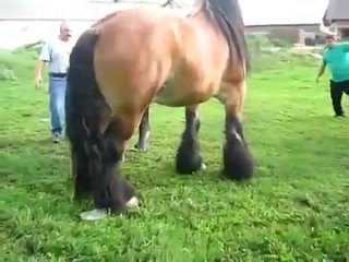free чурки снимают порно конейхачи кониное порно секс в горах hd