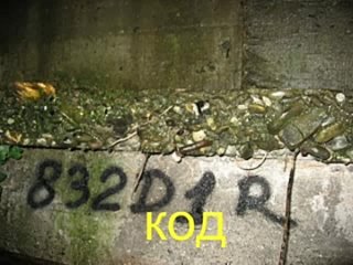 free сиси кейч для тупых и озобоченых говорю ето не порнуха как вы подумали с ув т петров hd