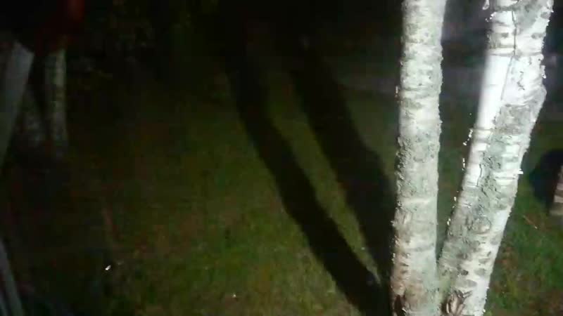 free deepthroat mov 0107 mp4 hd