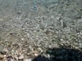 free нежные волны ионичесаого моря и ласковое солнце кефалонии последнее утро перед отлётом hd