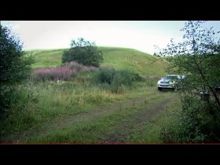 free scottish heather honey sponge pudding recipe hd