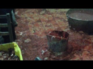 free шхита сельская деваха в меня просто влюблена hd