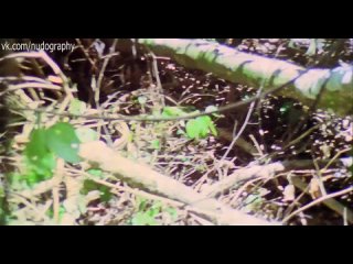 free молодые и секс франчески кьярди francesca ciardi в фильме ад каннибалов cannibal holocaust 1980 руджеро hd