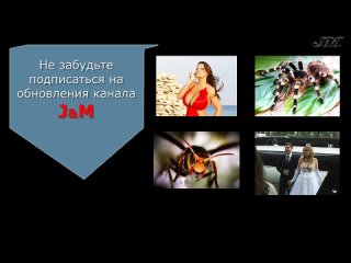 free ого какие гипно грудь 12 размера натуральная не порноне сексне эротика hd