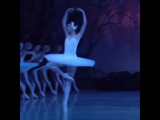 free оксана скорик в финальной сцене балета лебединое озеро hd
