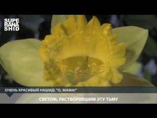 free очень красивый нашид о мама ᴴᴰ ya ummi нашиды с переводом mp4 hd