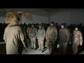 free это очень правильный и осознанный выбор hd