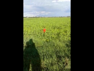 free отдых в поляне моя сестра вика и братик тёмочка hd