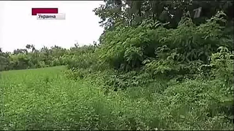 free полицейские молодые женщину штурм отделения полиции украина hd