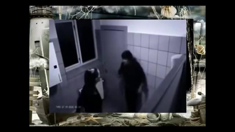 free скрытая камера секс в туалете нельзя даме отказывать hd
