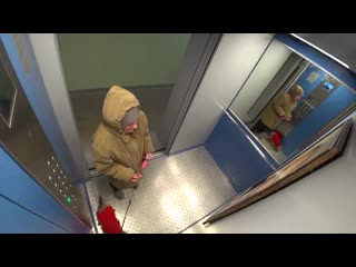 free всенародная любовь эксперимент с портретом путина в лифте hd