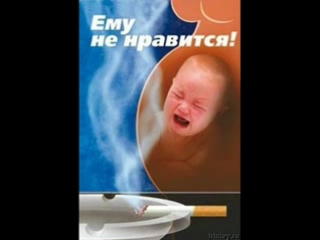 free девушки не курят курят только бабы чиксы пипсы тёлки суки шмары шалавы швали хорошая песня hd