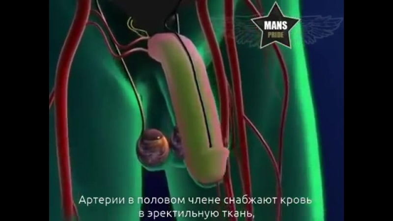 free что такое импотенция и слабая эрекция hd