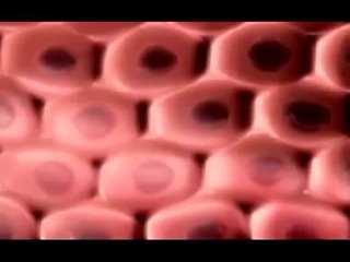 free экстендер увеличение полового члена без операции hd