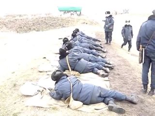 free вч 3024 порно гей лезби молодые головного мозга hd