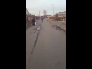free поспорили с сестрой что я донесу гирю до магазина и обратно на банку свой обещанный спортпит hd