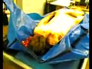 free жесть что да как в морге такового вы ещё не ивдели нигде жесть это не xxx hd