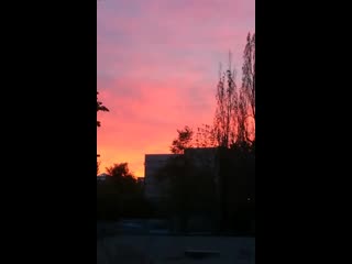 free using vid 104991008 060912 676 mp4 hd